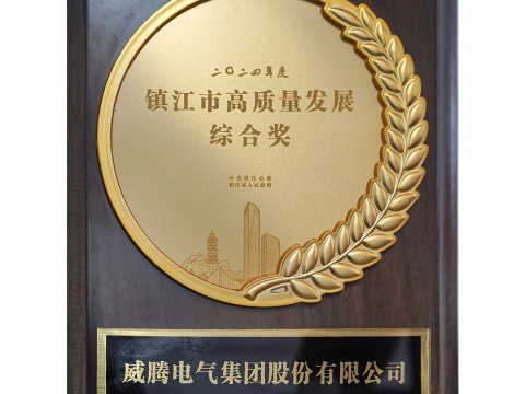 喜讯│emc易倍荣获2024年度镇江市高质量生长综合奖